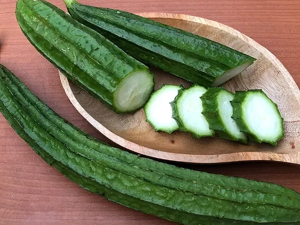 Manfaat Sayur Oyong: Cegah Berbagai Penyakit Secara Alami