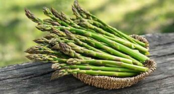Manfaat Asparagus untuk Jantung dan Pencernaan Sehat