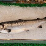 Ikan Sehat untuk Penderita Diabetes, Ini Pilihannya