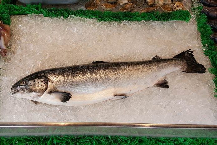 Ikan Sehat untuk Penderita Diabetes, Ini Pilihannya