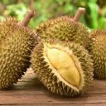 Makan Durian Ada Efek Samping, Bagaimana Fakta Medisnya